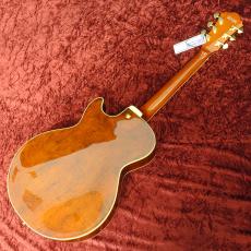 Ibanez AG95MG-DA Dark Amber_5