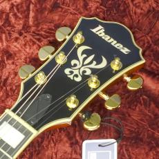 Ibanez AG95MG-DA Dark Amber_7