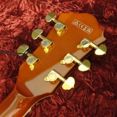 Ibanez AG95MG-DA Dark Amber_8