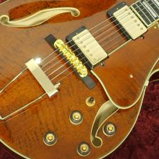 Ibanez AG95MG-DA Dark Amber_9