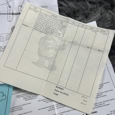 NO BRAND Component ST Type Fender Neck & Warmoth Body Burgundy Mist【スプリングセール!】_11