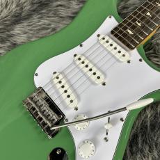 Paul Reed Smith [PRS] SE Silver Sky Ever Green_3