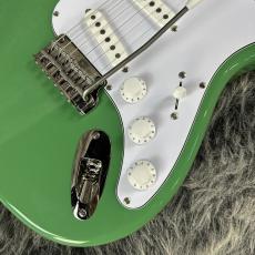 Paul Reed Smith [PRS] SE Silver Sky Ever Green_4