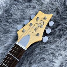 Paul Reed Smith [PRS] SE Silver Sky Ever Green_6