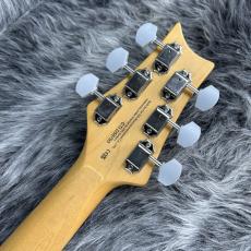 Paul Reed Smith [PRS] SE Silver Sky Ever Green_10