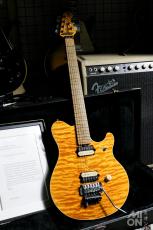 MUSIC MAN EVH Trans Gold 1993 Model w/ Terry Rogers Guitars Special Paperwork Document_11