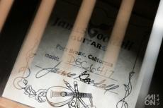 James Goodall DGC Grand Concert Model Master Sitka Spruce #6417_6