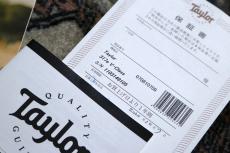 Taylor 【試奏動画有】317e V-Class 2019 【Taylor公認 リペアマン在籍店】_10