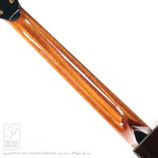 Naga Guitars Kotaro Oshio Signature "Wings" Series - Cutaway_6