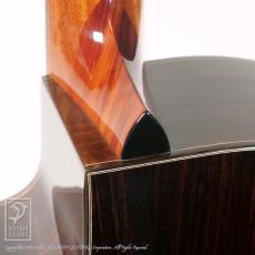 Naga Guitars Kotaro Oshio Signature "Wings" Series - Cutaway_13