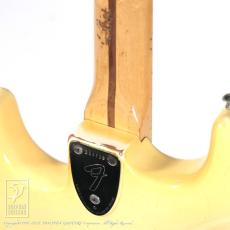 Fender Stratocaster (Olympic White)_14