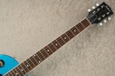 Tokai LSS-101CM -Blue Flower-_4