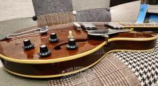 Gibson 1969 ES-335TDW_11
