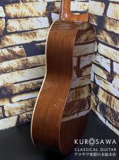 Paco Castillo パコ・カスティージョ 201 7/8 杉・サペリ 635mm ショートスケール【日本総本店2F在庫品】_6