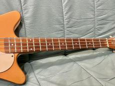 Danelectro 3412_4