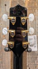 Takamine FPT752C BL 【無金利分割OK】_7