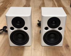FOSTEX PM0.4n Pair_2