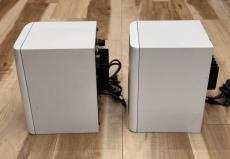 FOSTEX PM0.4n Pair_5