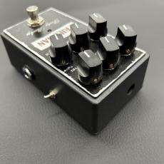 Friedman DIRTY SHIRLEY_5