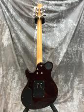 Greg Bennett FastBack_3