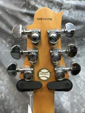 Greg Bennett FastBack_6