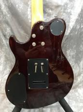 Greg Bennett FastBack_7