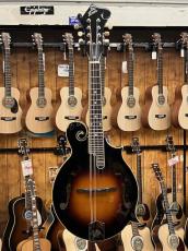 Loar LM-520-VS Hand-Carved Mandolins