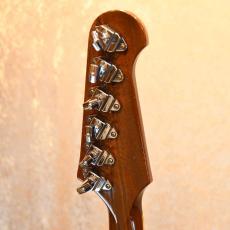 Gibson Firebird V_5