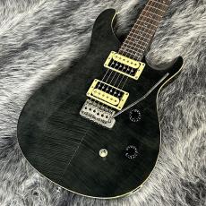Paul Reed Smith [PRS] SE Custom 24 Gray Black
