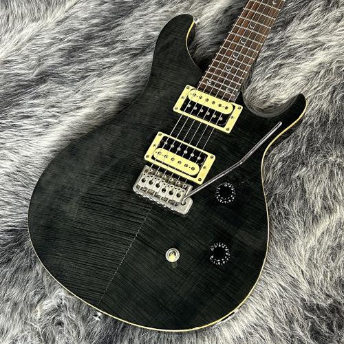 Paul Reed Smith [PRS] SE Custom 24 Gray Black