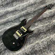 Paul Reed Smith [PRS] SE Custom 24 Gray Black_2