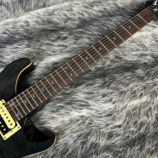 Paul Reed Smith [PRS] SE Custom 24 Gray Black_3