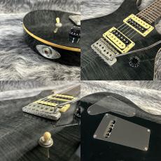 Paul Reed Smith [PRS] SE Custom 24 Gray Black_9
