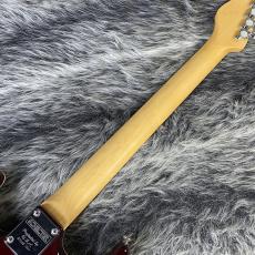 SCHECTER SD-II-22 Mod STR_7