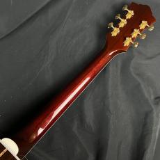 Guild D-55E_7