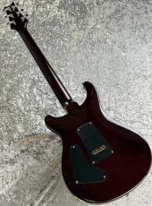 Paul Reed Smith [PRS] 【スタッフおすすめ中古!】10Top Custom 24 [3.79kg]_10
