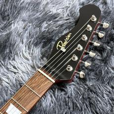 Provision Telebird #007-MH-CRED 【チョイキズ特価】【東京楽器博出展個体】【国産ハイエンド】_6