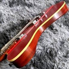 Provision Telebird #007-MH-CRED 【チョイキズ特価】【東京楽器博出展個体】【国産ハイエンド】_9