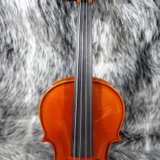 Antonio Tarontino HT-220 葉加瀬太郎モデル_5