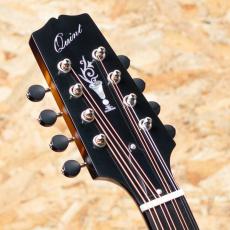 Quint Archtop Octave Mandolin Maple_8