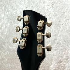 Rickenbacker 325V63 Vintage Series_6