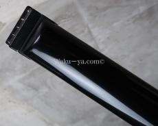 Steinberger XQ-25WA / bartolini / Black_5