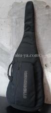 Steinberger XQ-25WA / bartolini / Black_11