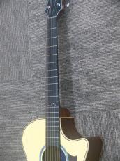 S.Yairi YAT-1300EC/NAM_9