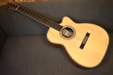 ASTURIAS SOLO PREMIUM_2