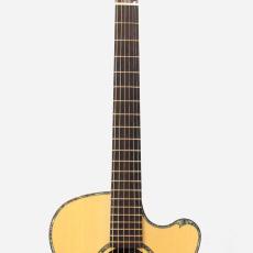 Water Road Deep Arte Cutaway "German Spruce & Jacaranda" w/M-Factory PickUp System *2017_6