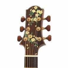 Water Road Deep Arte Cutaway "German Spruce & Jacaranda" w/M-Factory PickUp System *2017_7