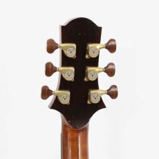 Water Road Deep Arte Cutaway "German Spruce & Jacaranda" w/M-Factory PickUp System *2017_8