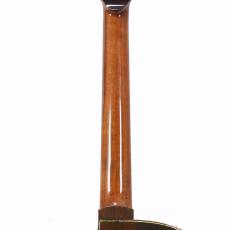 Water Road Deep Arte Cutaway "German Spruce & Jacaranda" w/M-Factory PickUp System *2017_9