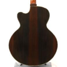 Water Road Deep Arte Cutaway "German Spruce & Jacaranda" w/M-Factory PickUp System *2017_10